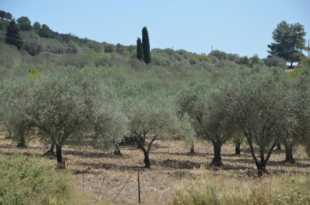 Le Case Di S. Andrea Buccheri Exterior foto